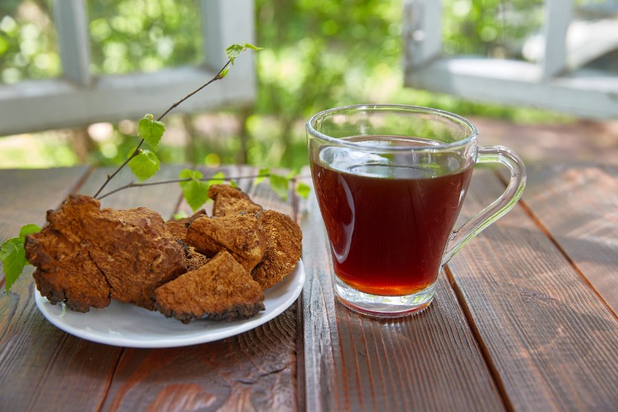 8 Healing Benefits Of Chaga Tea You Don't Know
