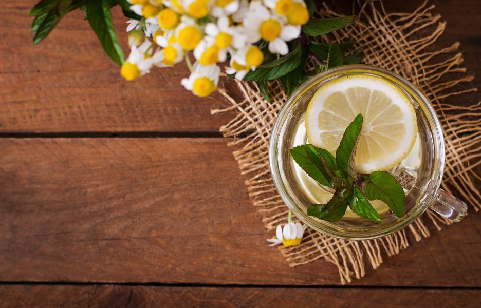 5 Reasons Why Organic Chamomile Tea Is More Than Just a Drink